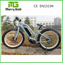 En15194 Approved Ebike 48V 350W Cool Fat Tyre Electric Bike